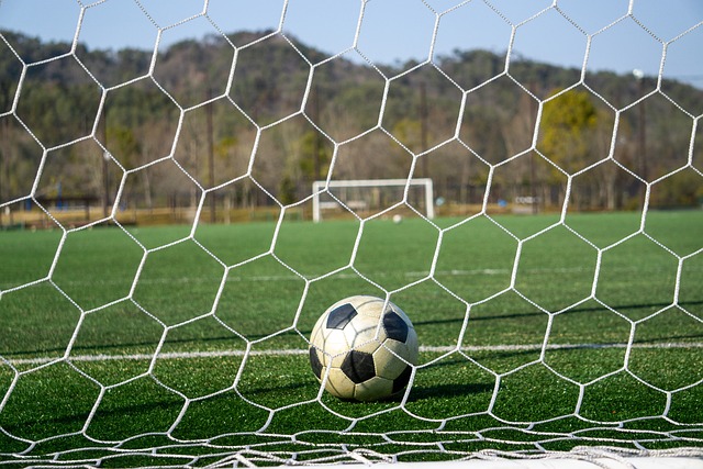 手都曾在这 手都曾在这