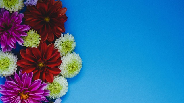 似点球的场 似点球的场