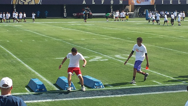 和忠诚的群 和忠诚的群