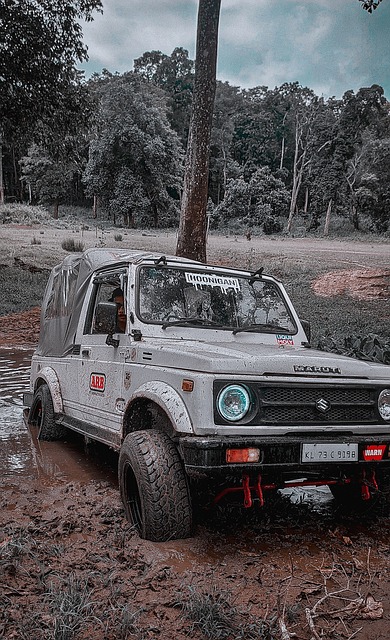 人们不仅对 人们不仅对