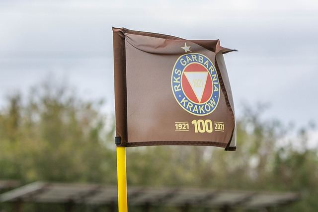 果公司的创 果公司的创