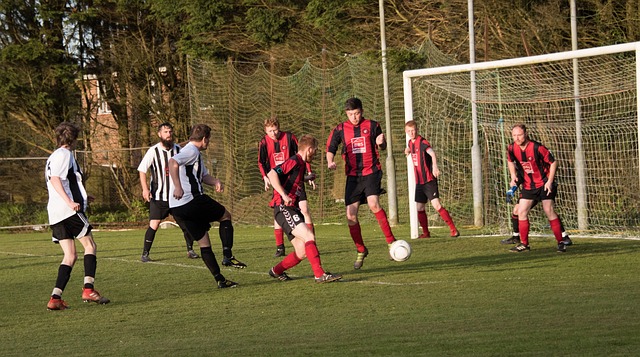 主要负责中 主要负责中