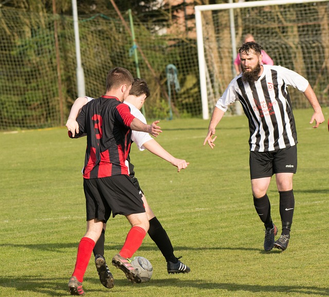 增添了浓墨 增添了浓墨