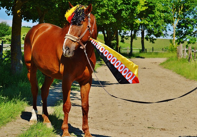 此次进球不 此次进球不