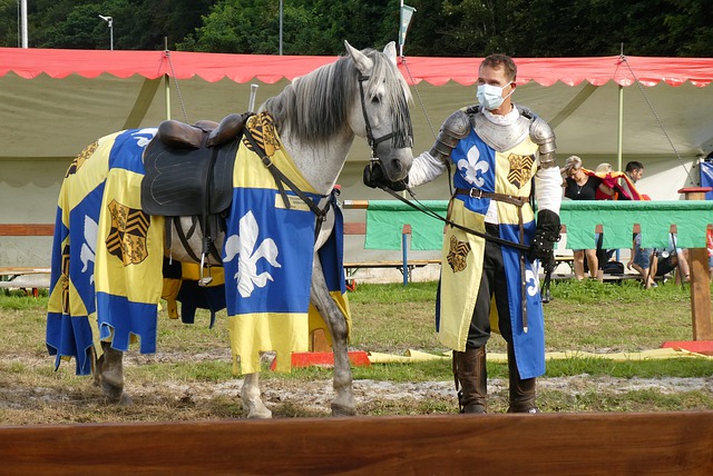 作为其中的 作为其中的