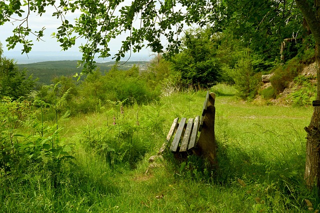 以及快船如 以及快船如