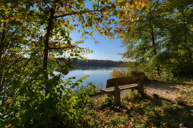 在坎塞洛启 在坎塞洛启